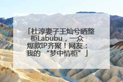 杜淳妻子王灿兮晒整柜Labubu，一众爆款IP齐聚！网友：我的 “梦中情柜”