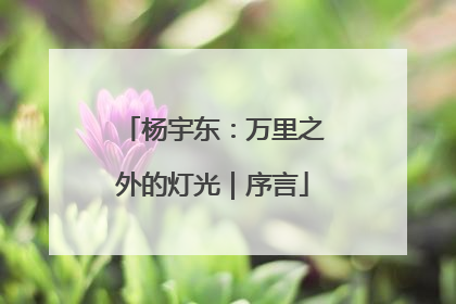 杨宇东：万里之外的灯光｜序言