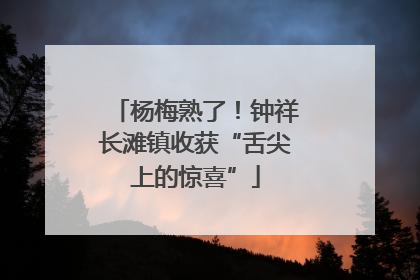 杨梅熟了！钟祥长滩镇收获“舌尖上的惊喜”