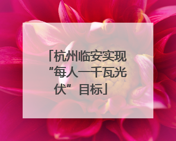杭州临安实现“每人一千瓦光伏”目标