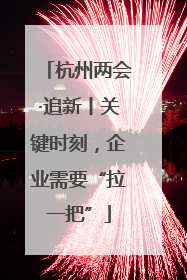 杭州两会·追新丨关键时刻，企业需要“拉一把”