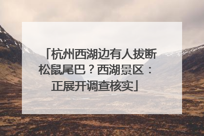 杭州西湖边有人拔断松鼠尾巴？西湖景区：正展开调查核实