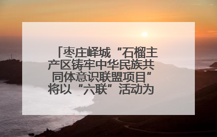 枣庄峄城“石榴主产区铸牢中华民族共同体意识联盟项目”将以“六联”活动为抓手深化品牌建设