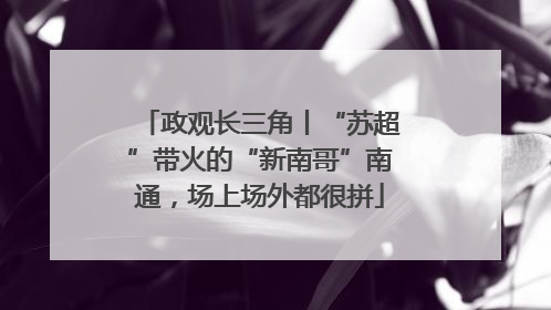 政观长三角丨“苏超”带火的“新南哥”南通，场上场外都很拼