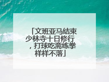 文班亚马结束少林寺十日修行，打球吃斋练拳样样不落