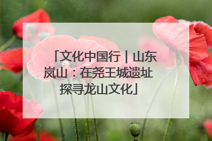 文化中国行｜山东岚山：在尧王城遗址探寻龙山文化