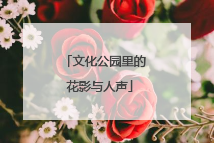 文化公园里的花影与人声