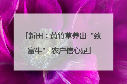 新田：黄竹草养出“致富牛” 农户信心足