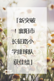 新突破！襄阳市长征路小学排球队获佳绩