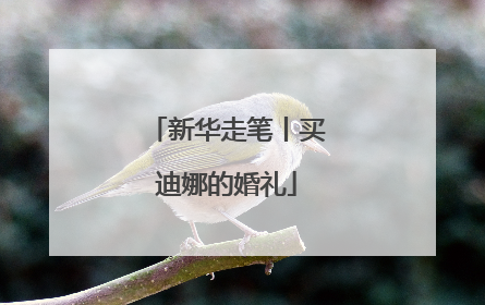 新华走笔丨买迪娜的婚礼