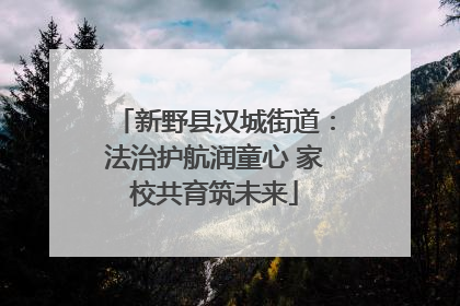 新野县汉城街道：法治护航润童心 家校共育筑未来