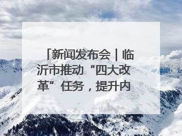 新闻发布会｜临沂市推动“四大改革”任务，提升内部审计监督效能