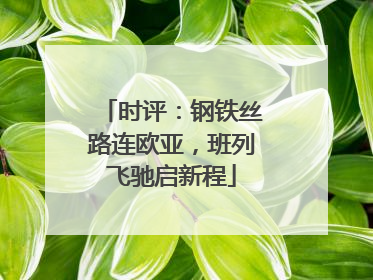 时评：钢铁丝路连欧亚，班列飞驰启新程