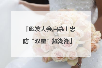 旅发大会启幕！忠防“双星”耀湖湘