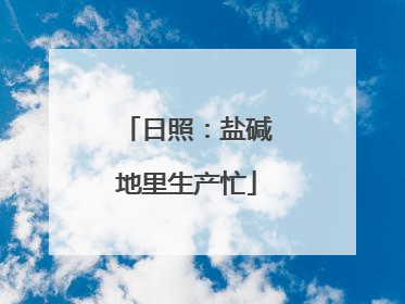 日照：盐碱地里生产忙