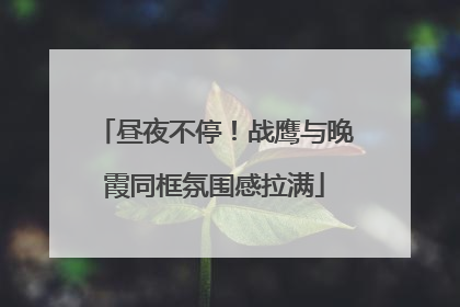 昼夜不停！战鹰与晚霞同框氛围感拉满