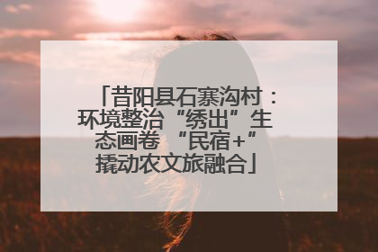 昔阳县石寨沟村：环境整治“绣出”生态画卷 “民宿+”撬动农文旅融合