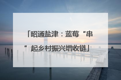 昭通盐津：蓝莓“串”起乡村振兴增收链