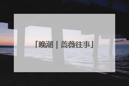 晚潮｜蔷薇往事