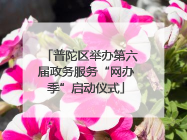 普陀区举办第六届政务服务“网办季”启动仪式