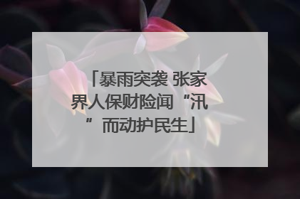 暴雨突袭 张家界人保财险闻“汛”而动护民生