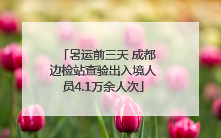 暑运前三天 成都边检站查验出入境人员4.1万余人次