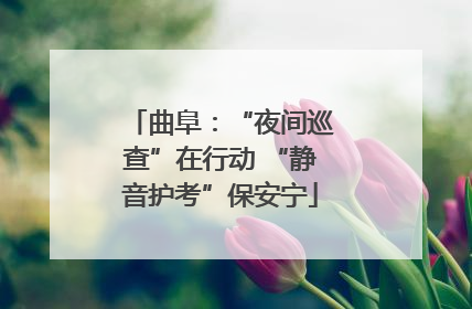 曲阜：“夜间巡查”在行动 “静音护考”保安宁