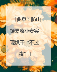 曲阜：防山镇夏收小麦实现烘干“不过夜”