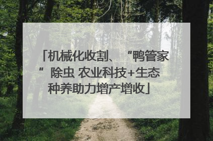 机械化收割、“鸭管家”除虫 农业科技+生态种养助力增产增收