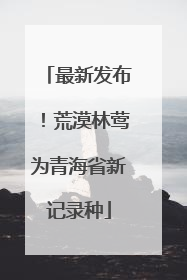 最新发布！荒漠林莺为青海省新记录种