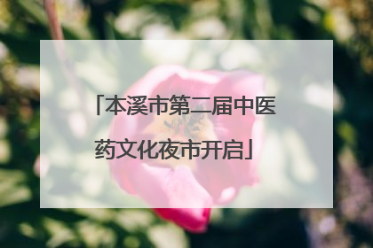 本溪市第二届中医药文化夜市开启