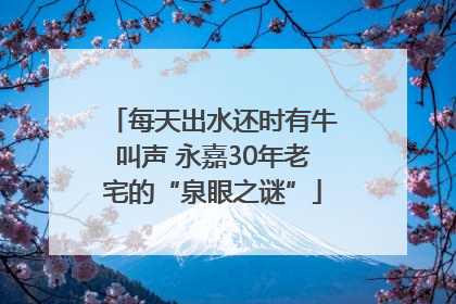 每天出水还时有牛叫声 永嘉30年老宅的“泉眼之谜”