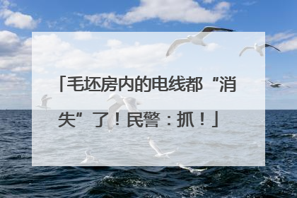 毛坯房内的电线都“消失”了！民警：抓！