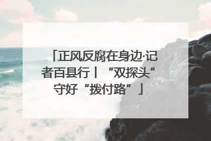 正风反腐在身边·记者百县行丨“双探头”守好“拨付路”
