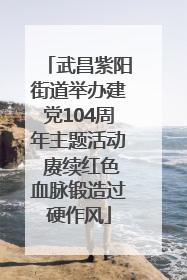 武昌紫阳街道举办建党104周年主题活动 赓续红色血脉锻造过硬作风