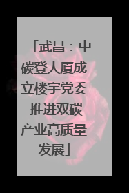 武昌：中碳登大厦成立楼宇党委 推进双碳产业高质量发展