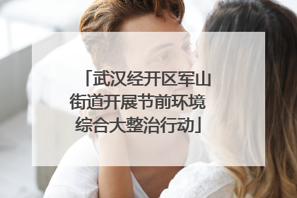 武汉经开区军山街道开展节前环境综合大整治行动