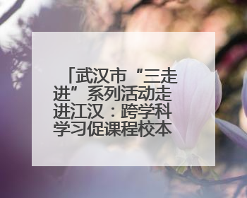 武汉市“三走进”系列活动走进江汉：跨学科学习促课程校本化升级
