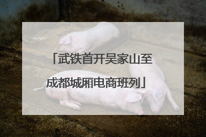 武铁首开吴家山至成都城厢电商班列