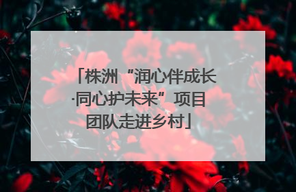 株洲“润心伴成长·同心护未来”项目团队走进乡村