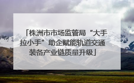 株洲市市场监管局“大手拉小手”助企赋能轨道交通装备产业链质量升级