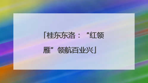 桂东东洛：“红领雁”领航百业兴