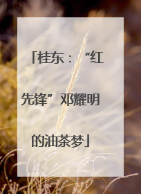 桂东：“红先锋”邓耀明的油茶梦