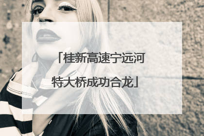 桂新高速宁远河特大桥成功合龙