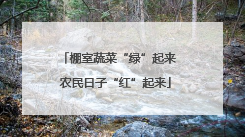 棚室蔬菜“绿”起来 农民日子“红”起来