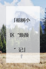 榕树小区“焕颜”记
