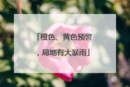 橙色、黄色预警，局地有大暴雨