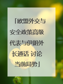 欧盟外交与安全政策高级代表与伊朗外长通话 讨论当前局势
