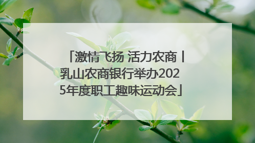 激情飞扬 活力农商丨乳山农商银行举办2025年度职工趣味运动会