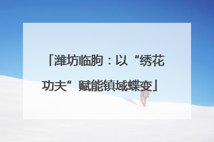 潍坊临朐：以“绣花功夫”赋能镇域蝶变